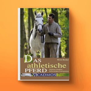 Das athletische Pferd